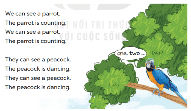 Tiếng Anh lớp 3 Unit 20 Lesson 3