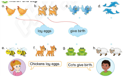 Tiếng Anh lớp 3 Phonics Smart Unit 12 Learn more: Laying eggs – Giving birth (trang 121)