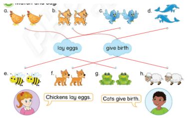 Tiếng Anh lớp 3 Phonics Smart Unit 12 Learn more: Laying eggs – Giving birth (trang 121)