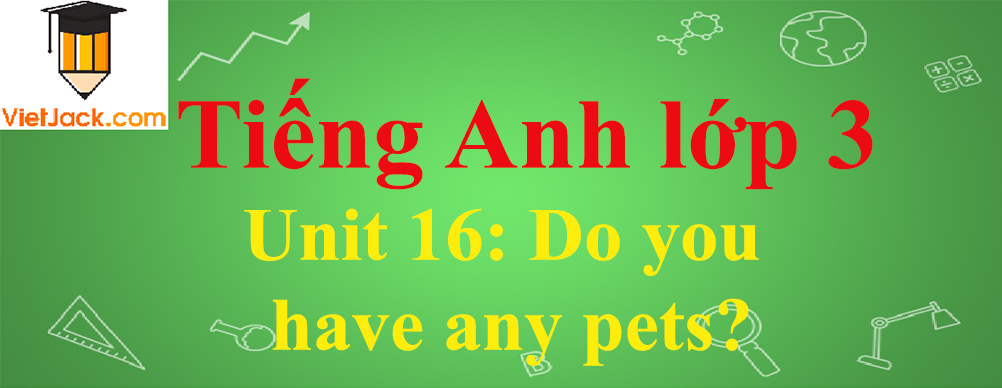 Tiếng Anh lớp 3 Unit 16: Do you have any pets?