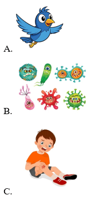 Trắc nghiệm Tiếng Anh lớp 4 Family and Friends Unit 11 Phonetics and Vocabulary (có đáp án)