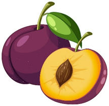 Trắc nghiệm Tiếng Anh lớp 4 Family and Friends Unit 3 Phonetics and Vocabulary (có đáp án)