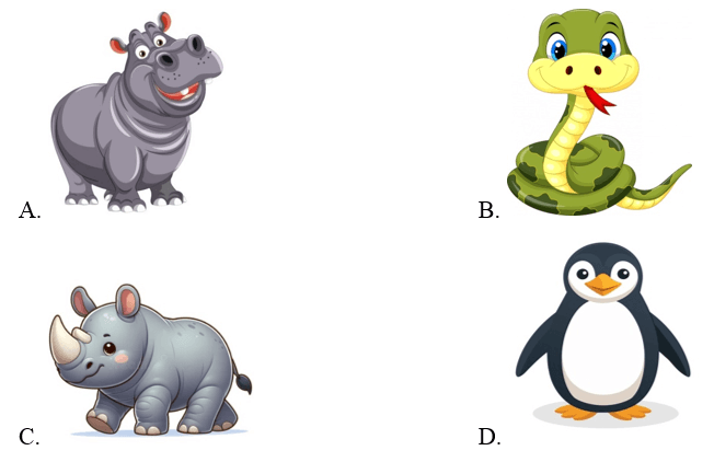 Trắc nghiệm Tiếng Anh lớp 4 Smart Start Unit 1 Phonetics & Vocabulary (có đáp án)
