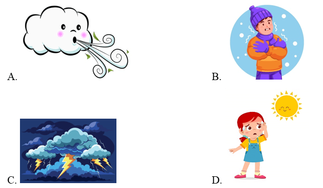 Trắc nghiệm Tiếng Anh lớp 4 Smart Start Unit 3 Phonetics & Vocabulary (có đáp án)