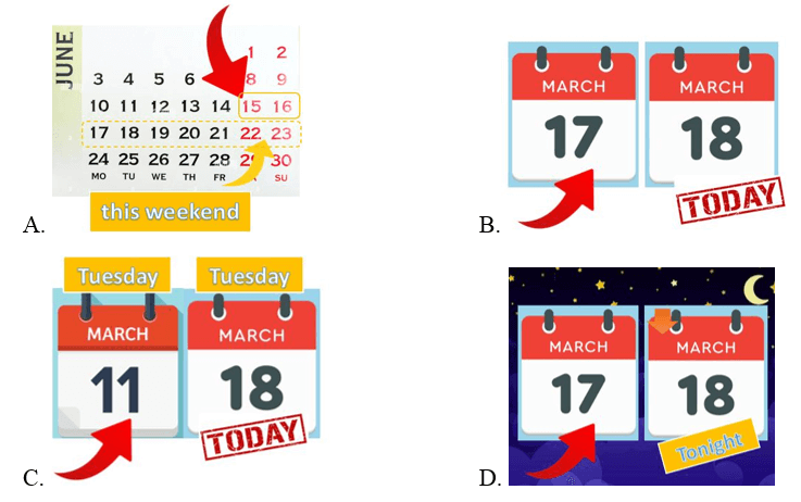 Trắc nghiệm Tiếng Anh lớp 4 Smart Start Unit 8 Phonetics & Vocabulary (có đáp án)