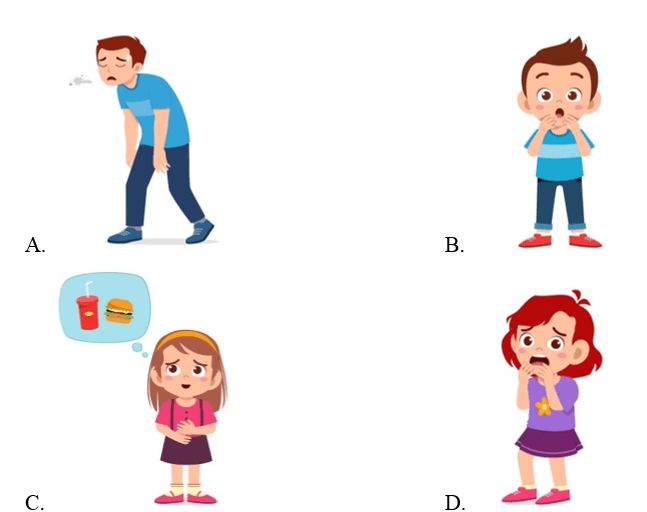 Trắc nghiệm Tiếng Anh lớp 4 Smart Start Unit 8 Phonetics & Vocabulary (có đáp án)
