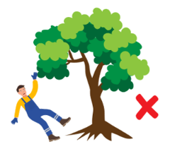 Trắc nghiệm Tiếng Anh lớp 4 Global Success Unit 5 (có đáp án): Things we can do