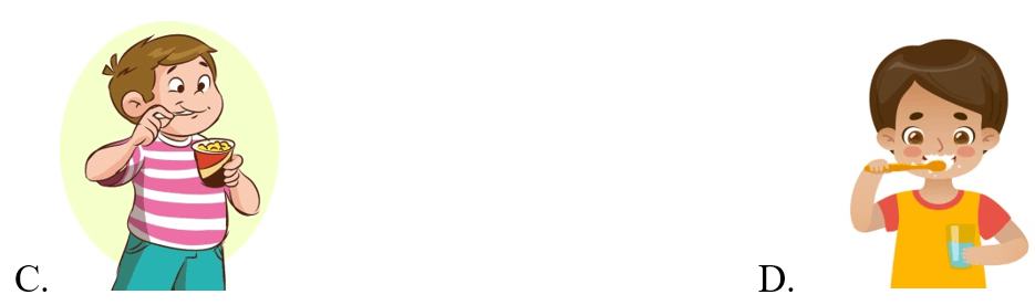 Trắc nghiệm Tiếng Anh lớp 5 Family and Friends Unit 1 Phonetics and Vocabulary