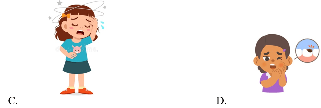 Trắc nghiệm Tiếng Anh lớp 5 Family and Friends Unit 10 Phonetics and Vocabulary