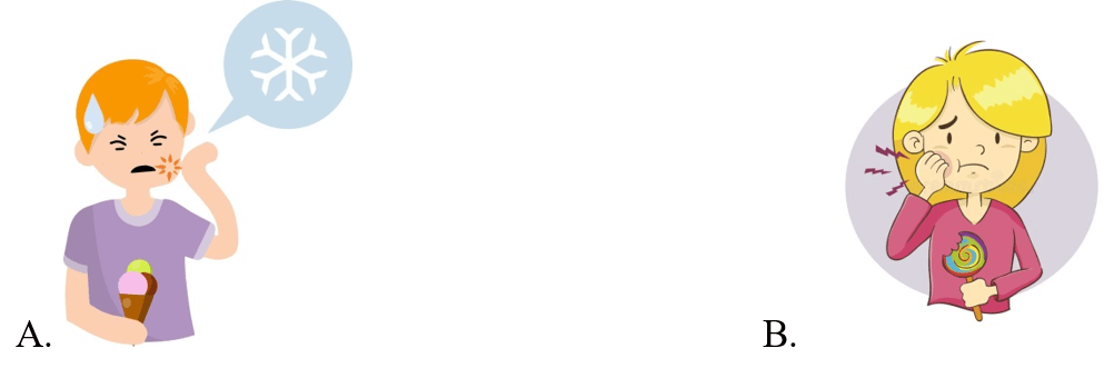 Trắc nghiệm Tiếng Anh lớp 5 Family and Friends Unit 10 Phonetics and Vocabulary