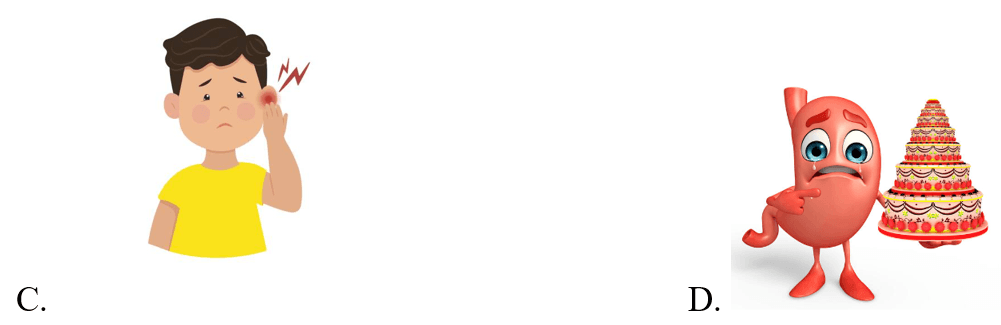 Trắc nghiệm Tiếng Anh lớp 5 Family and Friends Unit 10 Phonetics and Vocabulary