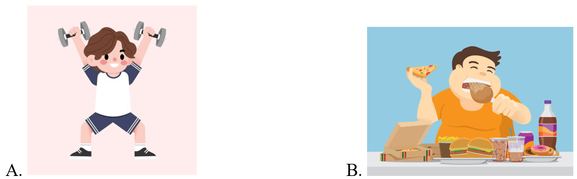 Trắc nghiệm Tiếng Anh lớp 5 Family and Friends Unit 10 Phonetics and Vocabulary