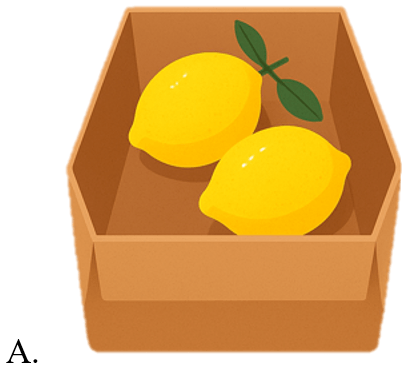 Trắc nghiệm Tiếng Anh lớp 5 Family and Friends Unit 3 Phonetics and Vocabulary