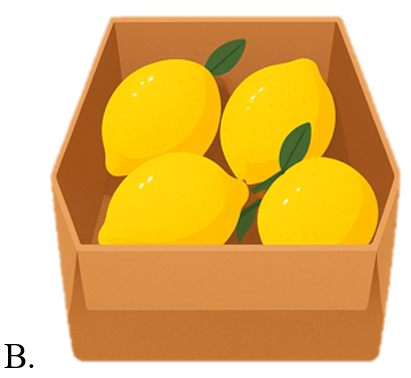 Trắc nghiệm Tiếng Anh lớp 5 Family and Friends Unit 3 Phonetics and Vocabulary