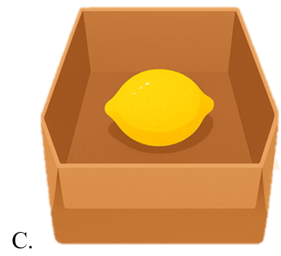 Trắc nghiệm Tiếng Anh lớp 5 Family and Friends Unit 3 Phonetics and Vocabulary