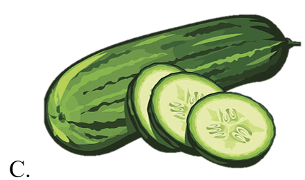 Trắc nghiệm Tiếng Anh lớp 5 Family and Friends Unit 3 Phonetics and Vocabulary