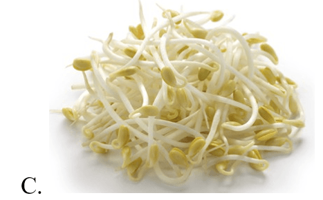 Trắc nghiệm Tiếng Anh lớp 5 Family and Friends Unit 3 Phonetics and Vocabulary