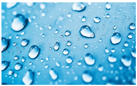 Trắc nghiệm Tiếng Anh lớp 5 Family and Friends Unit 5 Phonetics and Vocabulary