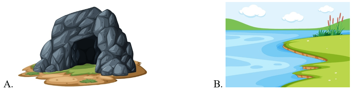 Trắc nghiệm Tiếng Anh lớp 5 Family and Friends Unit 7 Phonetics and Vocabulary