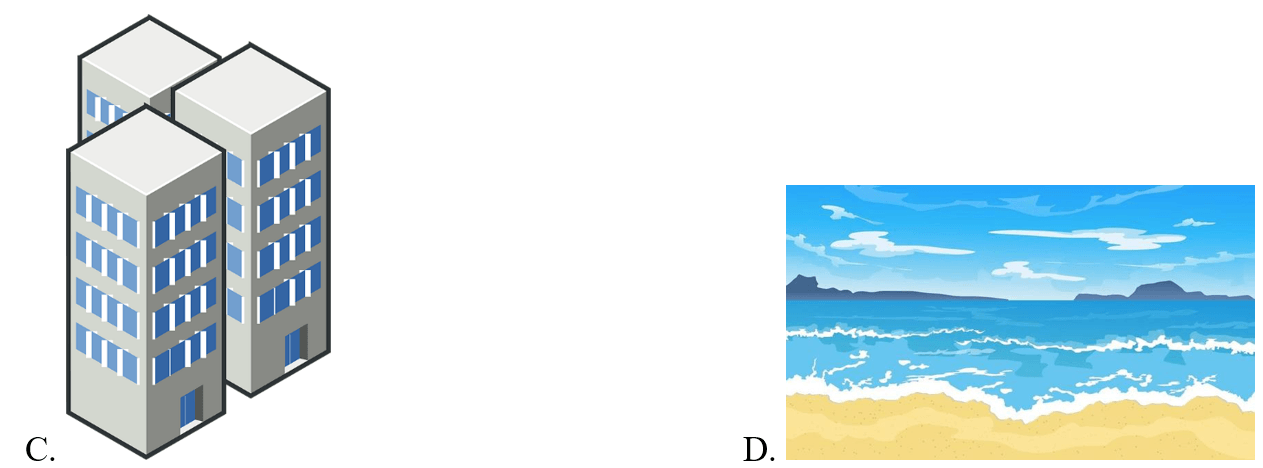 Trắc nghiệm Tiếng Anh lớp 5 Family and Friends Unit 8 Phonetics and Vocabulary