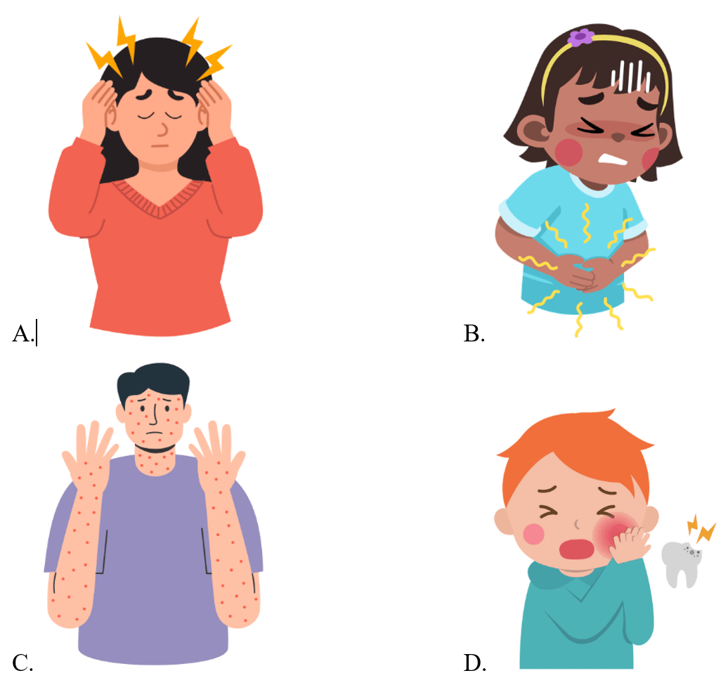 Trắc nghiệm Tiếng Anh lớp 5 Smart Start Unit 5 Phonetics and Vocabulary (có đáp án)