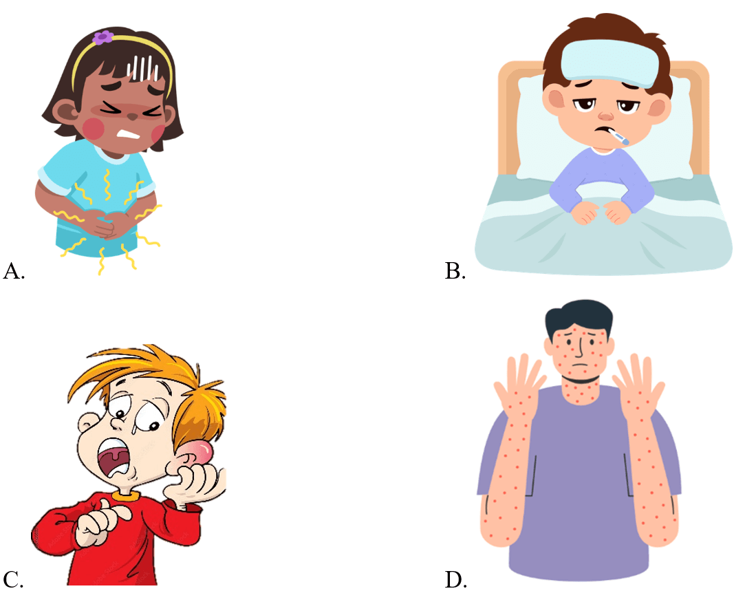 Trắc nghiệm Tiếng Anh lớp 5 Smart Start Unit 5 Phonetics and Vocabulary (có đáp án)