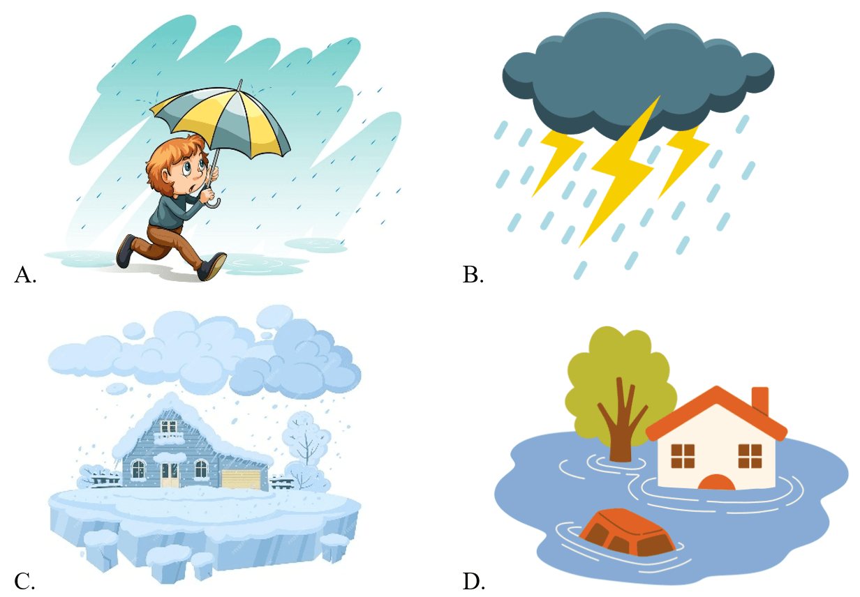 Trắc nghiệm Unit 8 Phonetics and Vocabulary