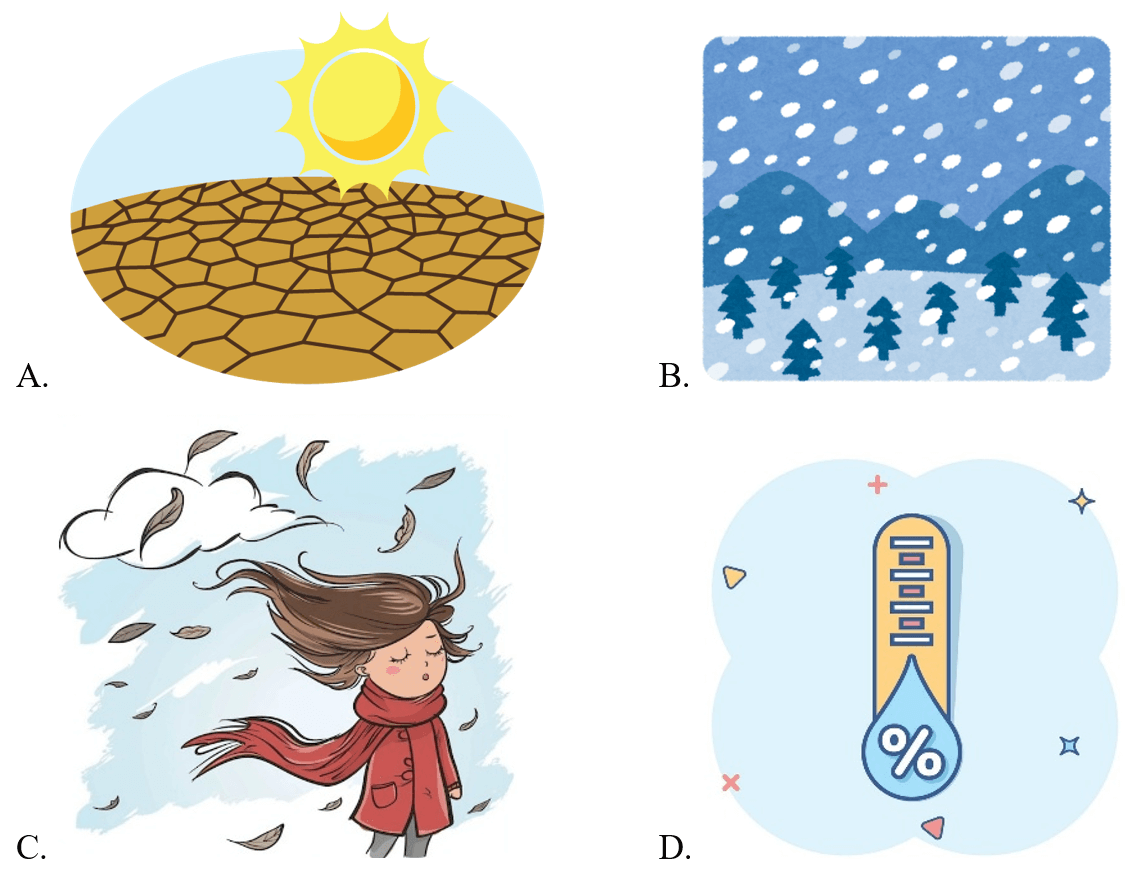 Trắc nghiệm Unit 8 Phonetics and Vocabulary