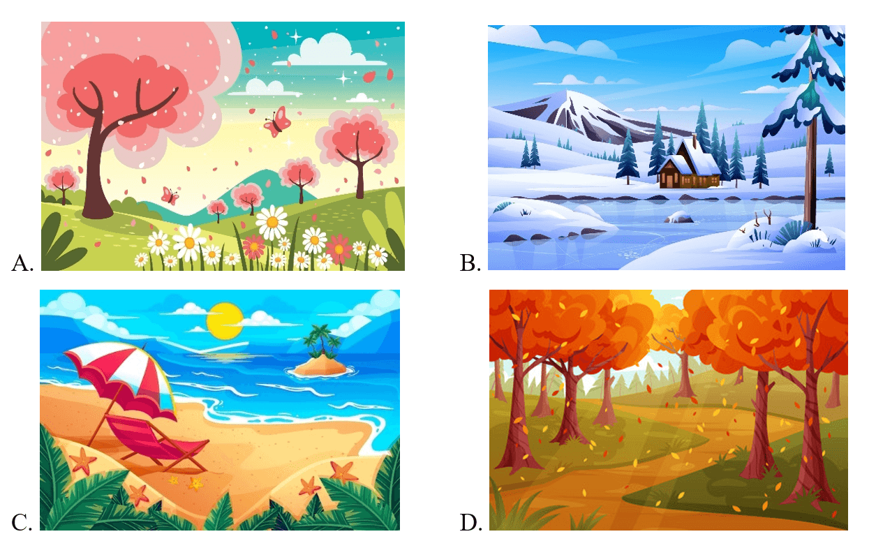 Trắc nghiệm Unit 8 Phonetics and Vocabulary