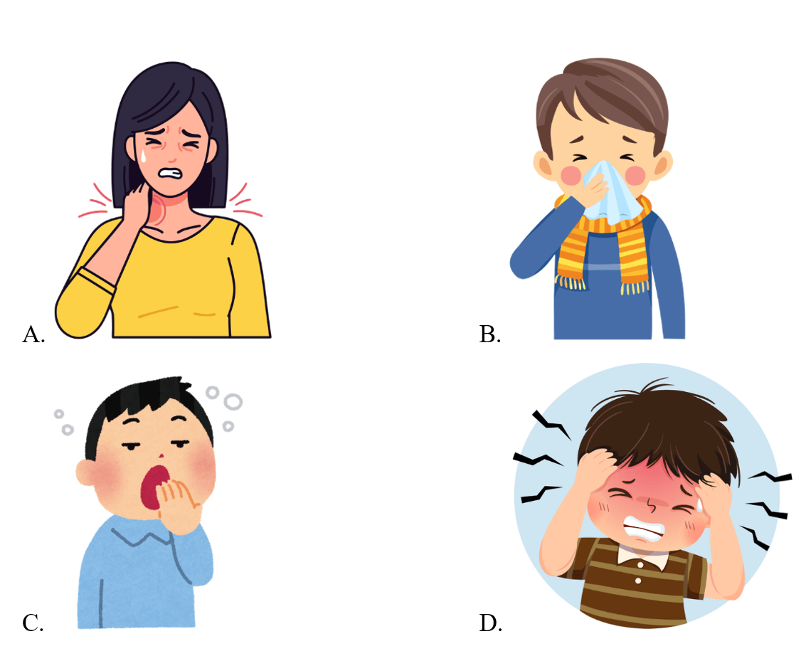 Trắc nghiệm Tiếng Anh lớp 5 Smart Start Unit 5 Phonetics and Vocabulary (có đáp án)