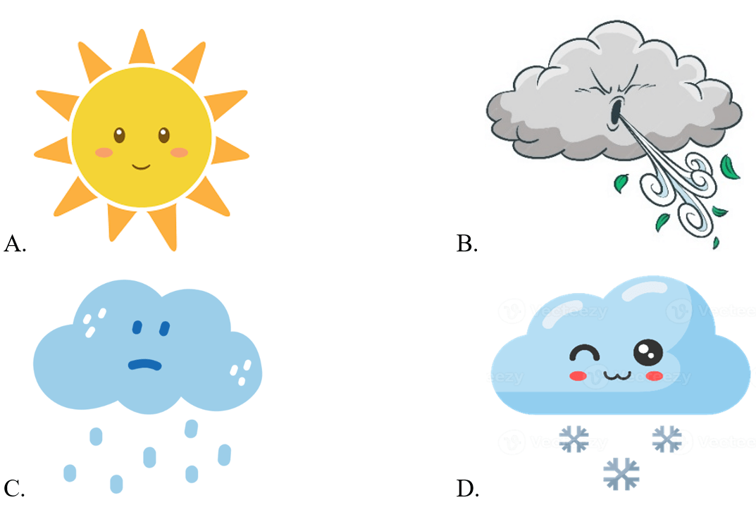 Trắc nghiệm Unit 8 Phonetics and Vocabulary
