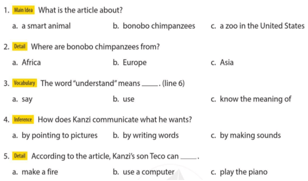Tiếng Anh lớp 6 Unit 7 Comprehension trang 78 | Explore English 6 Cánh diều