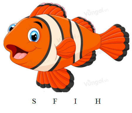 Trắc nghiệm Tiếng Anh 6 Unit 3 (Friends plus có đáp án): Vocabulary and Grammar