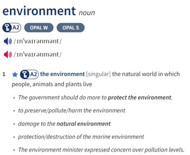 Trắc nghiệm Tiếng Anh 9 Unit 8 (Friends plus có đáp án): Vocabulary and Grammar