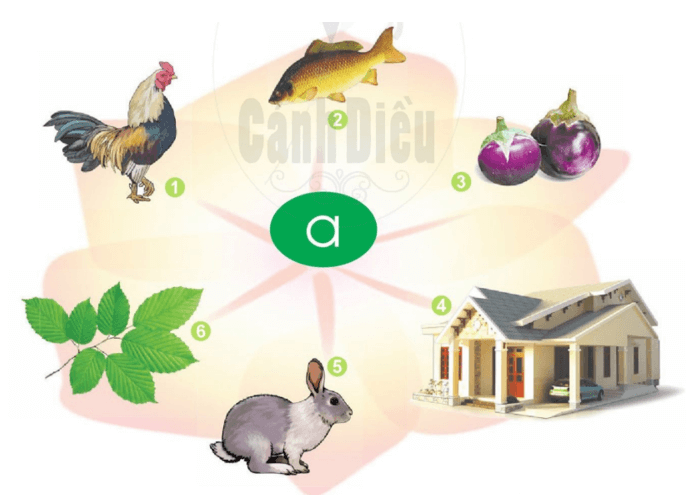 a, c – Bài 1 – Tiếng Việt lớp 1 (trang 6 → 7) - Cánh diều