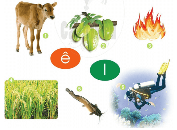 ê, l – Bài 10 – Tiếng Việt lớp 1 (trang 22 → 23) - Cánh diều