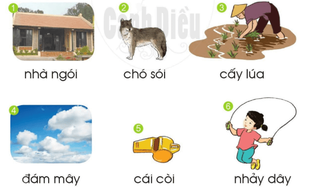 oi, ây – Bài 100 – Tiếng Việt lớp 1 (trang 14→ 15) - Cánh diều