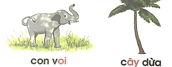 oi, ây – Bài 100 – Tiếng Việt lớp 1 (trang 14→ 15) - Cánh diều