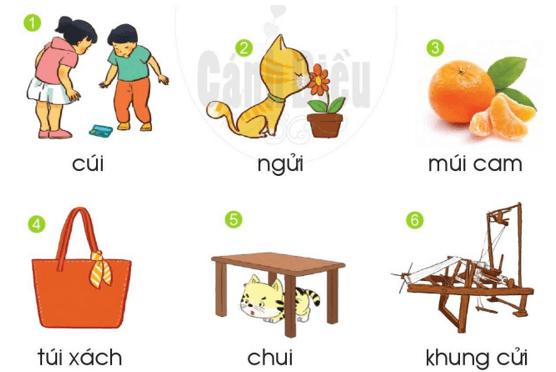 ui, ưi – Bài 102 – Tiếng Việt lớp 1 (trang 18 → 19) - Cánh diều