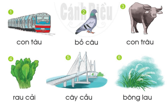au, âu – Bài 107 – Tiếng Việt lớp 1 (trang 26 → 27) - Cánh diều