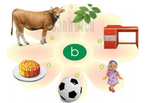 b, bễ – Bài 11 – Tiếng Việt lớp 1 (trang 24 → 25) - Cánh diều