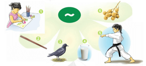 b, bễ – Bài 11 – Tiếng Việt lớp 1 (trang 24 → 25) - Cánh diều