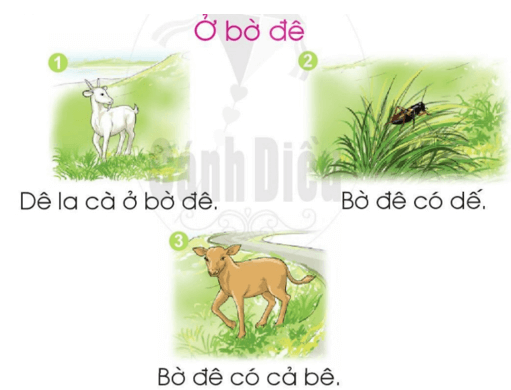 b, bễ – Bài 11 – Tiếng Việt lớp 1 (trang 24 → 25) - Cánh diều