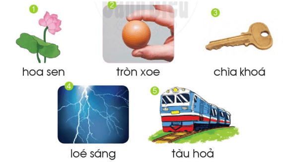oa, oe – Bài 113 – Tiếng Việt lớp 1 (trang 36 → 37) - Cánh diều