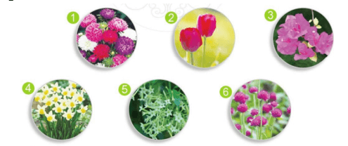 uy, uya – Bài 115 – Tiếng Việt lớp 1 (trang 40 → 41) - Cánh diều