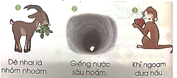 oam, oăm – Bài 118 – Tiếng Việt lớp 1 (trang 44 → 45) - Cánh diều