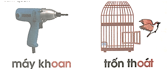 oan, oat – Bài 119 – Tiếng Việt lớp 1 (trang 46 → 47) - Cánh diều