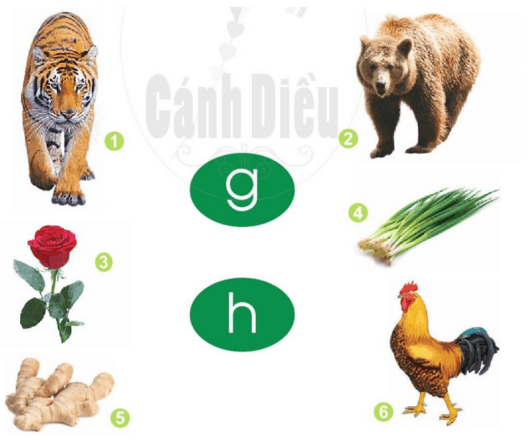 g, h – Bài 12 – Tiếng Việt lớp 1 (trang 26 → 27) - Cánh diều