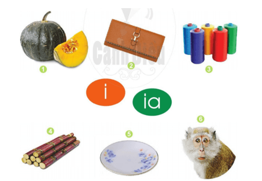 i, ia – Bài 13 – Tiếng Việt lớp 1 (trang 28 → 29) - Cánh diều