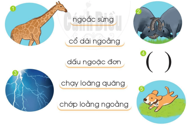 oăng, oac – Bài 130 – Tiếng Việt lớp 1 (trang 64 → 65) - Cánh diều